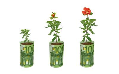 Fonduri UE 2026: 100.000€ pentru flori și plante, ghid AFIR