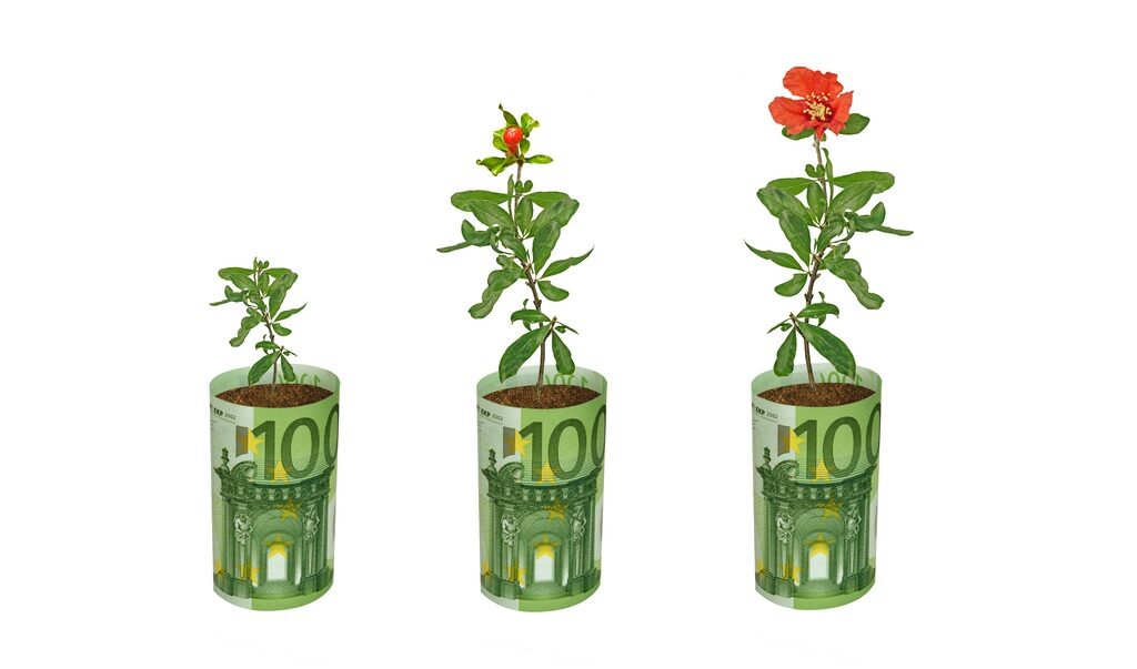 Fonduri UE 2026: 100.000€ pentru flori și plante, ghid AFIR