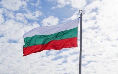 Ambasadoarea Ucrainei, la MAE Bulgaria, după drona prăbușită