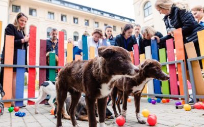 Summit animale la Cotroceni: Semnal strategic pentru România