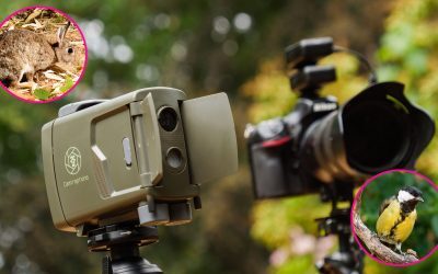 Foto-capcană în grădină: DSLR vechi, imagini uimitoare cu animale