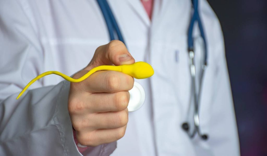 Laptopul, statul pe scaun și nopțile pierdute, mari dușmani ai fertilității