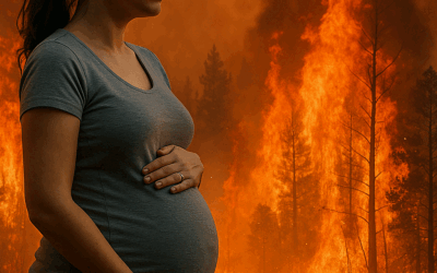 Fumul de la incendii, pericol pentru gravide: studiu alarmant