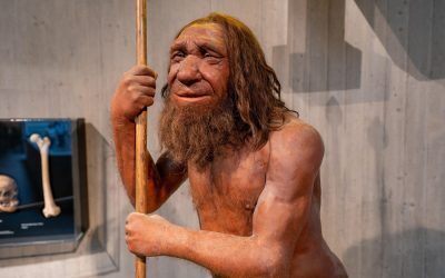 Neanderthalii ne-au dat gena puiului de leu. Nu toți o au
