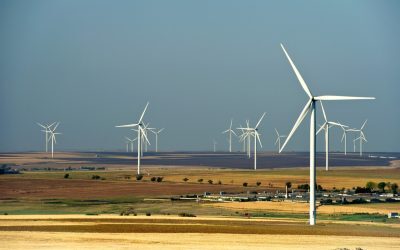 BUȘOI (Energie): Eolianul taie importurile, prognoze bune