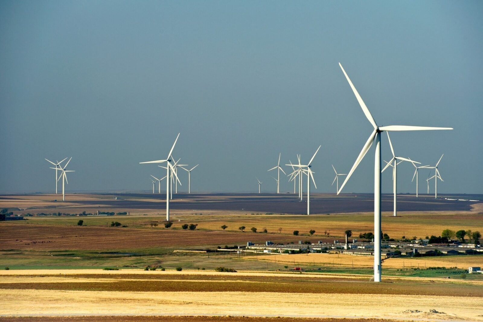 BUȘOI (Energie): Eolianul taie importurile, prognoze bune
