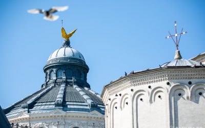Patriarhia Română, apel urgent: Ajutor pentru victimele caniculei