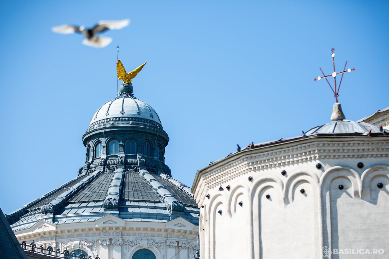Patriarhia Română, apel urgent: Ajutor pentru victimele caniculei