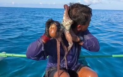 Alertă în Filipine: Caracatiță se agață de fața unui pescar
