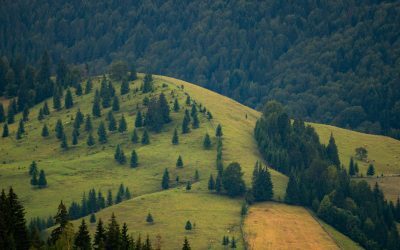 Legea Biodiversității: 972 mil. € vs. Realitatea românească