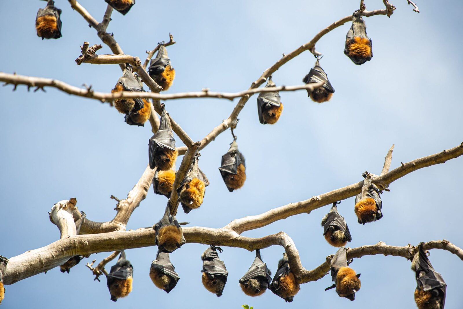 De ce natura ne cere ajutorul: Ecosistemele, pe farfurie