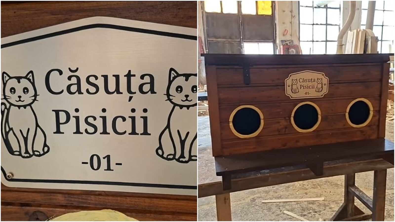 Arad: Căsuțe gratuite pentru pisicile străzii