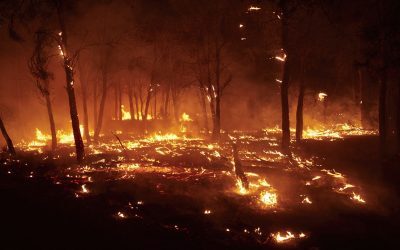 Regi din sec. XI salvați din flăcări, Spania evacuează mănăstire