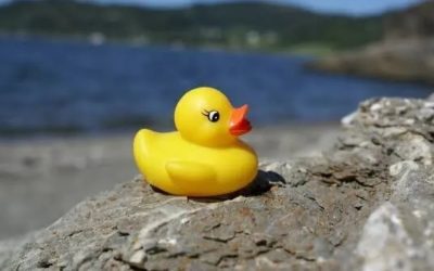 Rața de plastic cucerește Chicago: peste 90.000 pe râu