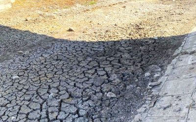 Apă, 100L/gospodărie. Prioritate: vulnerabili
