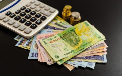 ANAF, Finanțe: Consultanții fiscali cer lămuriri pentru Declarația 112