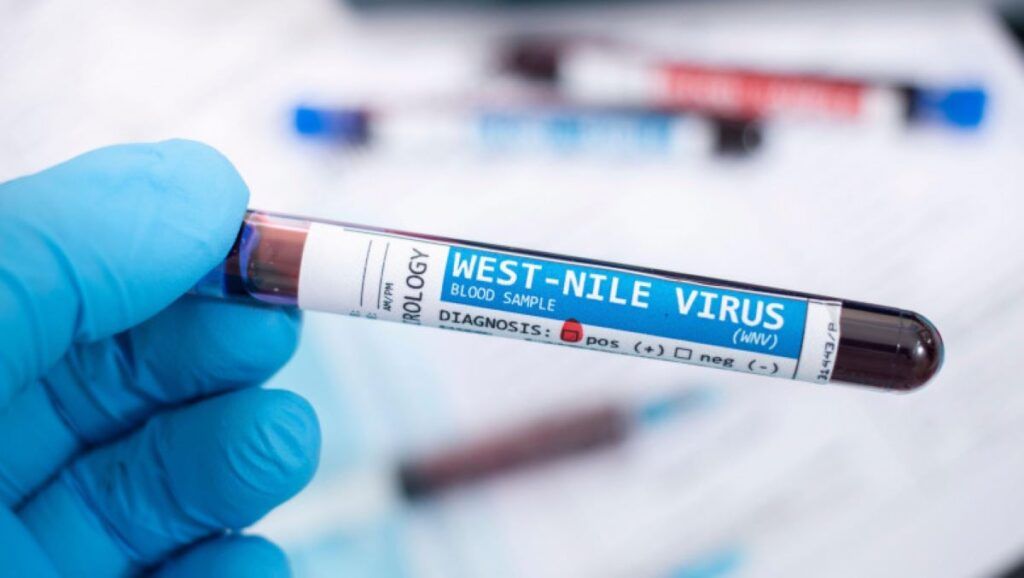 Alertă în Grecia: S-a înmulțit febra West Nile