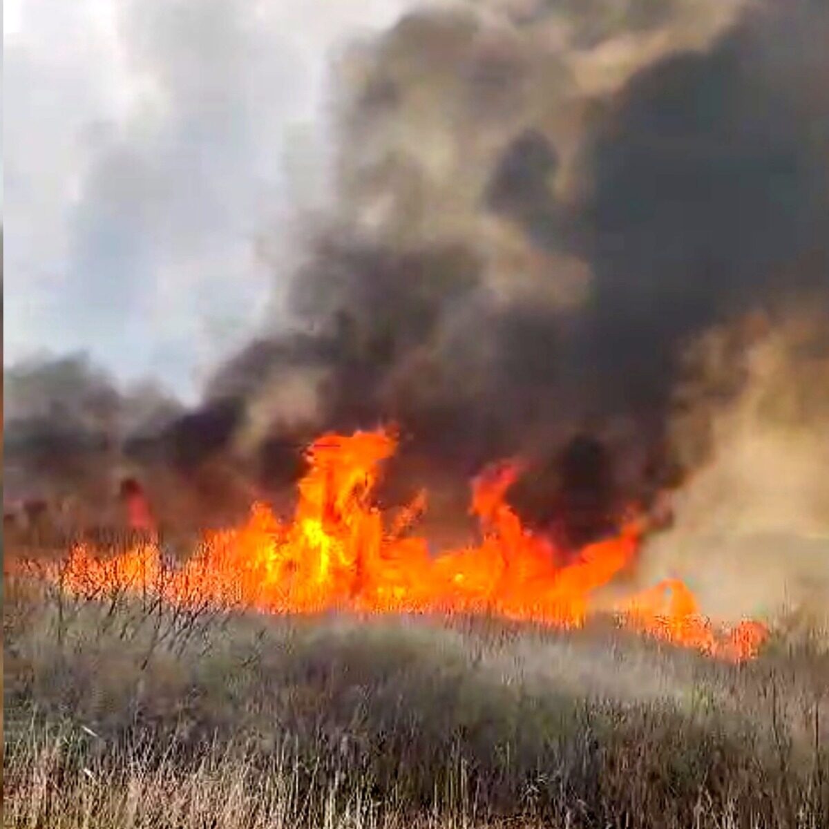 Incendiu mistuie 50 ha de vegetație în Vaslui