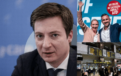 Caramitru, replică dură pentru diaspora germană după votul AfD