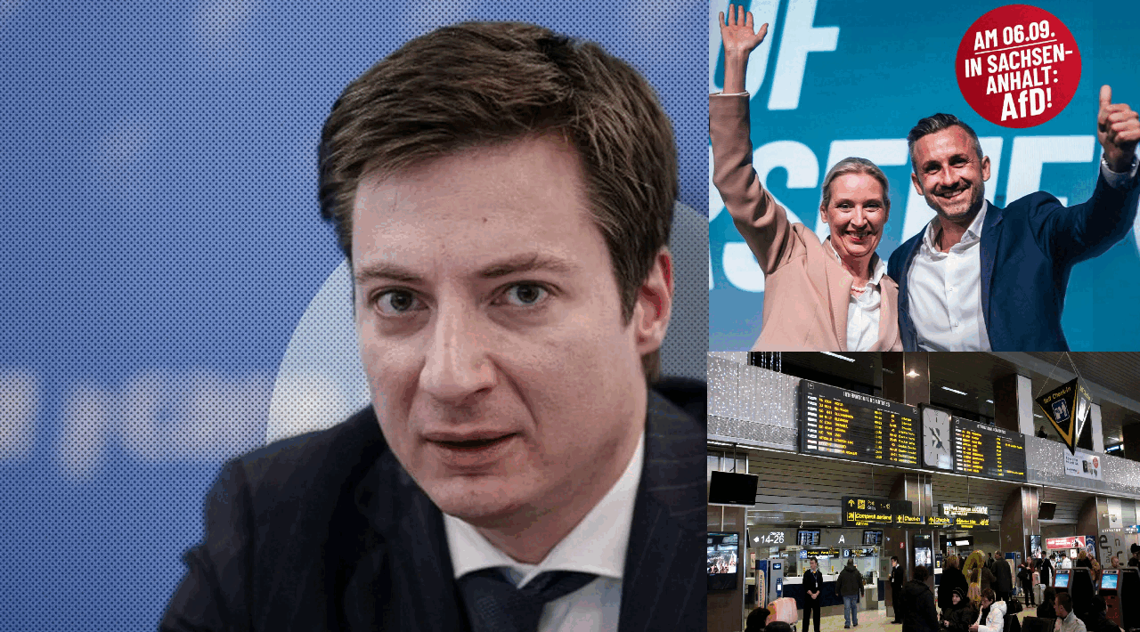 Caramitru, replică dură pentru diaspora germană după votul AfD