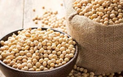 Mănânci zilnic alimentul-minune ce imită estrogenul la menopauză