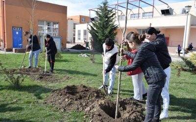 PISA schimbă „Școala Altfel” și „Săptămâna verde” / Ce vrea Ligia Deca