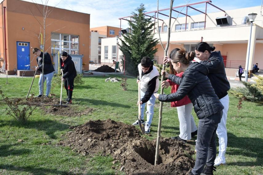 PISA schimbă „Școala Altfel” și „Săptămâna verde” / Ce vrea Ligia Deca