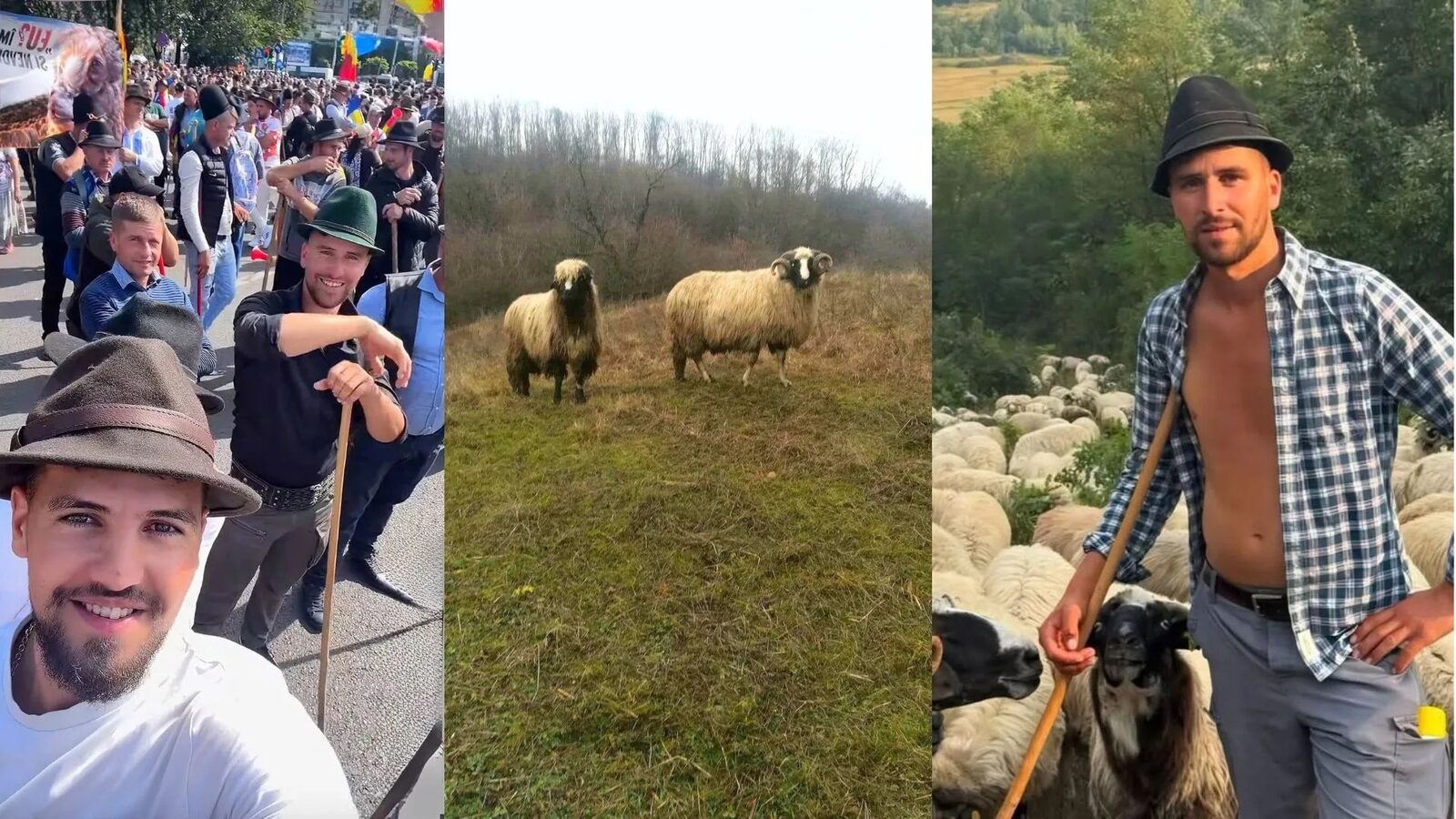 Ciobanul și-a vândut armăsarul pentru fratele arestat după protestul oierilor