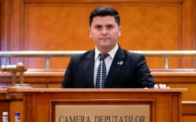 PNL: Niculescu, guvern suspendat sau relaxăm încrâncenarea
