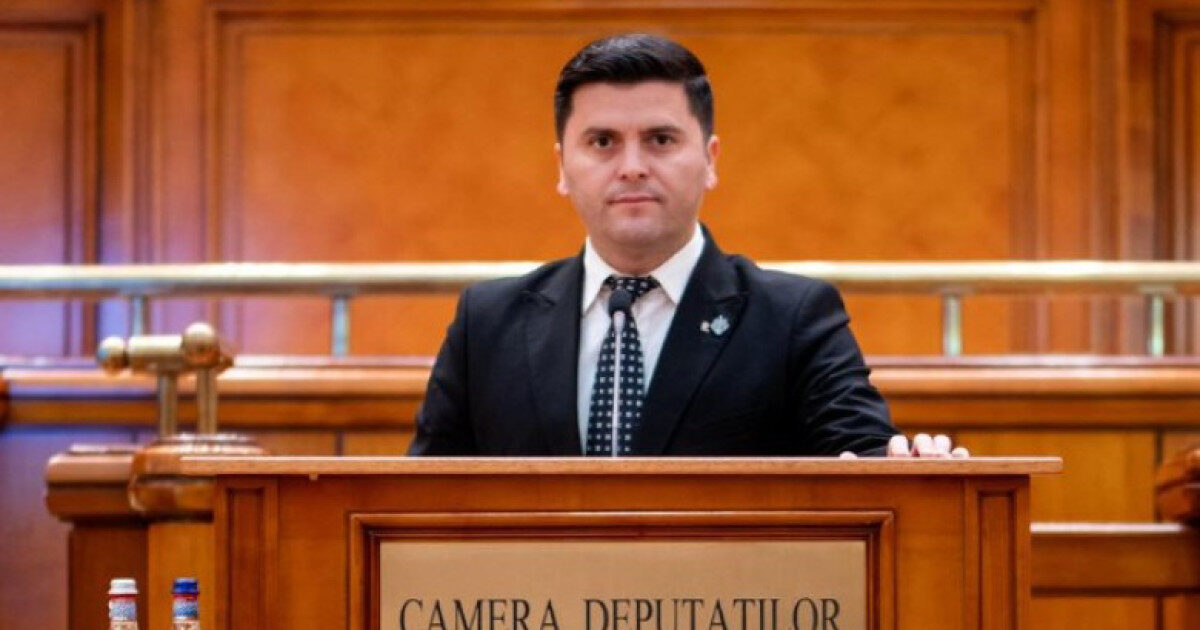 PNL: Niculescu, guvern suspendat sau relaxăm încrâncenarea